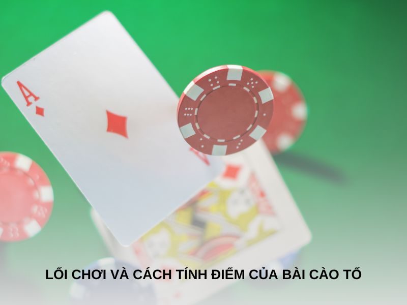 Lối chơi và cách tính điểm của bài cào tố