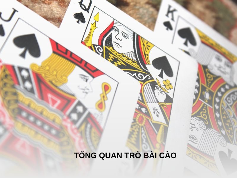 Tổng quan trò bài cào